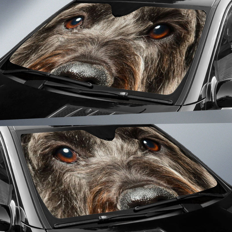 Black Schnoodle Eyes Car Sun Shade 94