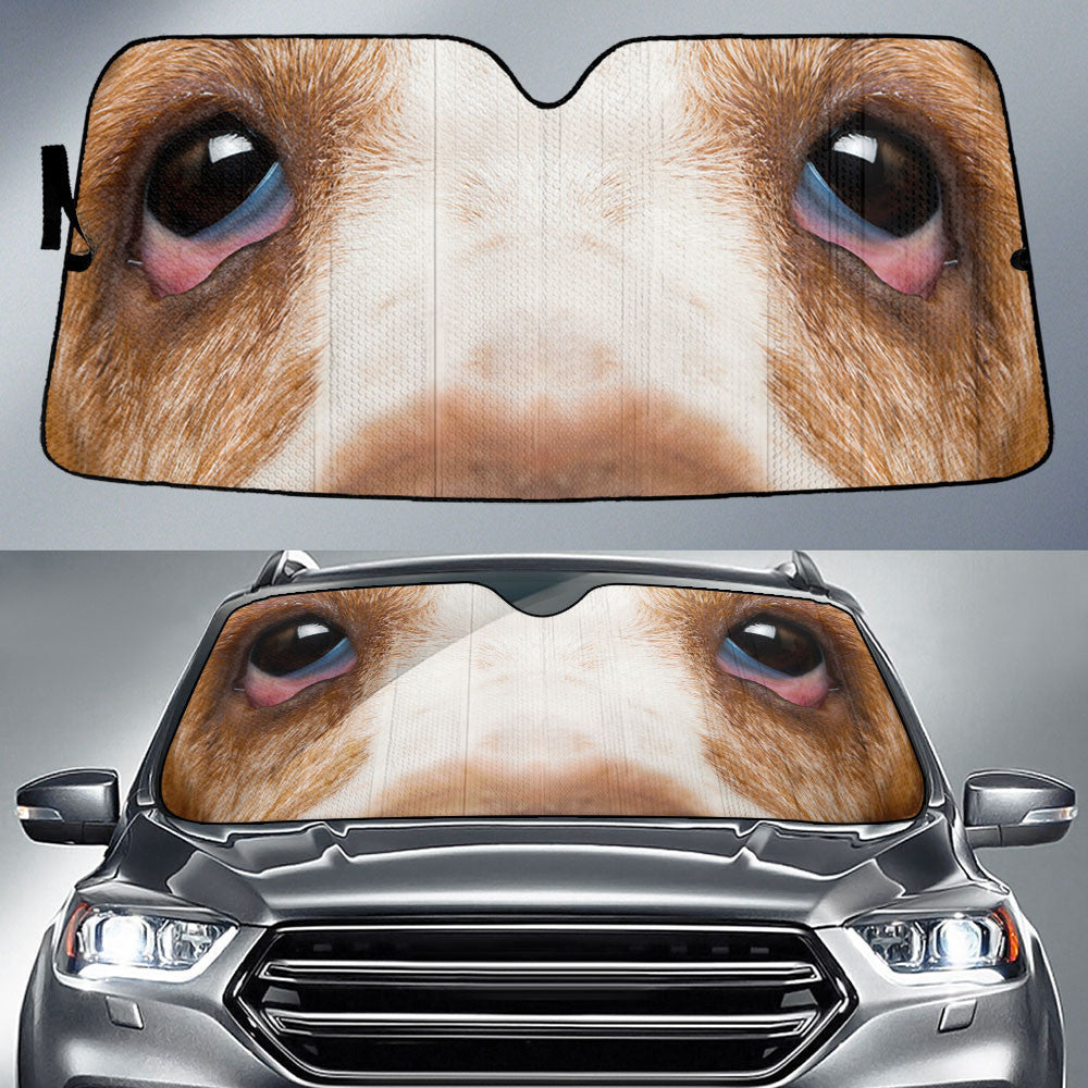 Basset Hound Eyes Car Sun Shade 94