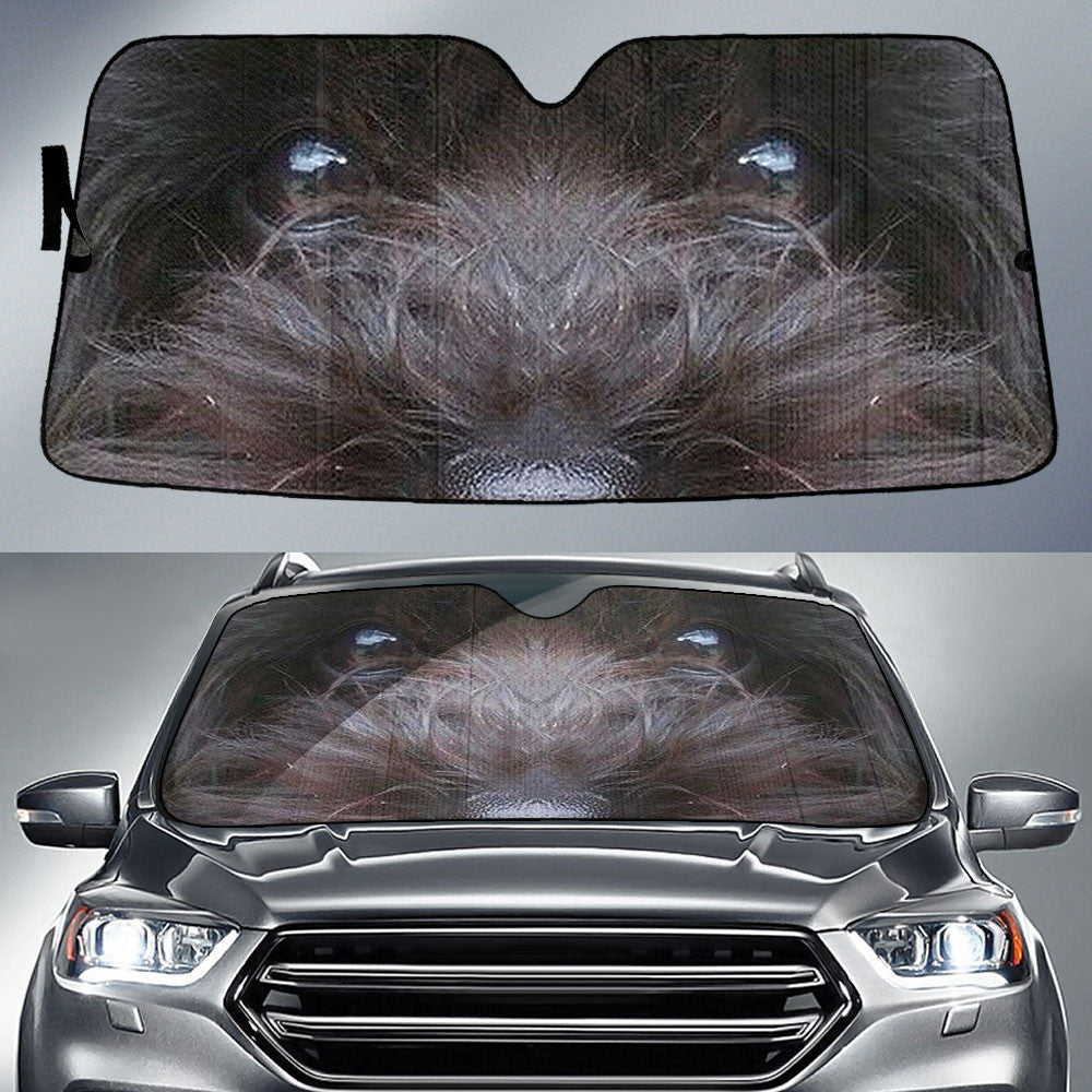 Black Maltipoo Eyes Car Sun Shade 94