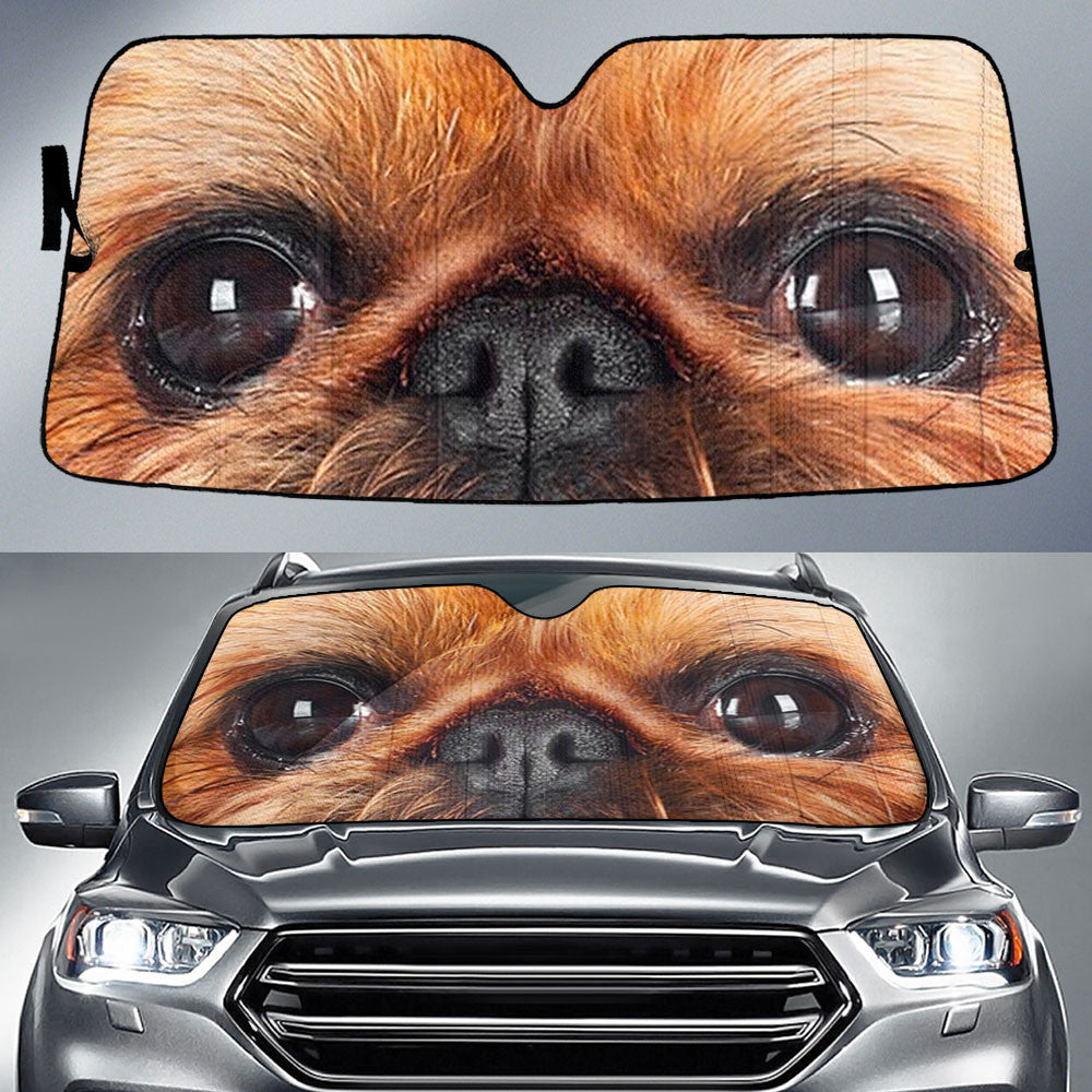 Brussels Griffon Eyes Car Sun Shade 94