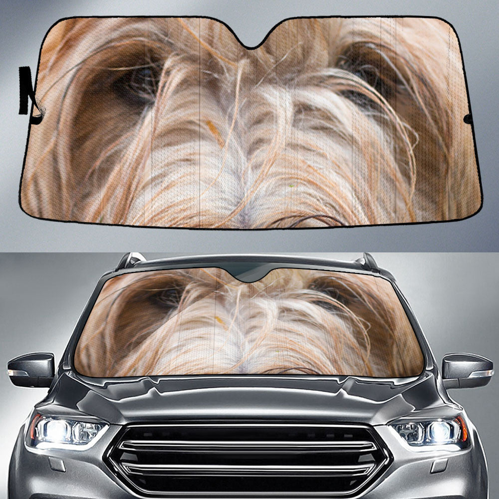 Briard Eyes Car Sun Shade 94