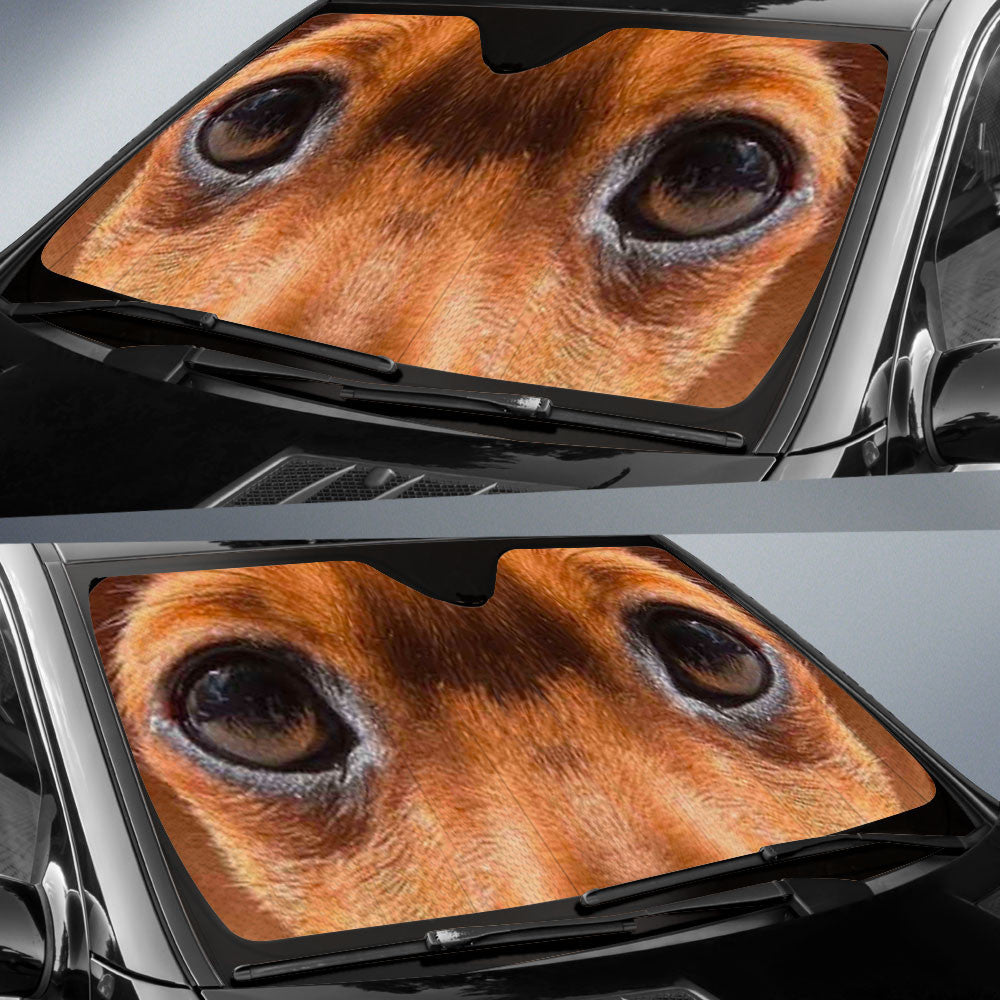 Chaweenie Eyes Car Sun Shade 94