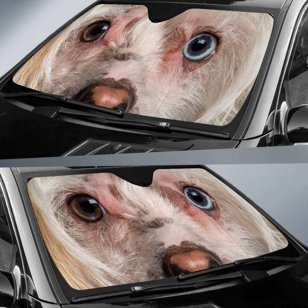 Hairless Chinese Crested Eyes Car Sun Shade 94