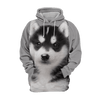 Alaskan Malamute 4 - Unisex 3D Graphic Hoodie