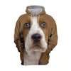 Basset Hound 2 - Unisex 3D Graphic Hoodie