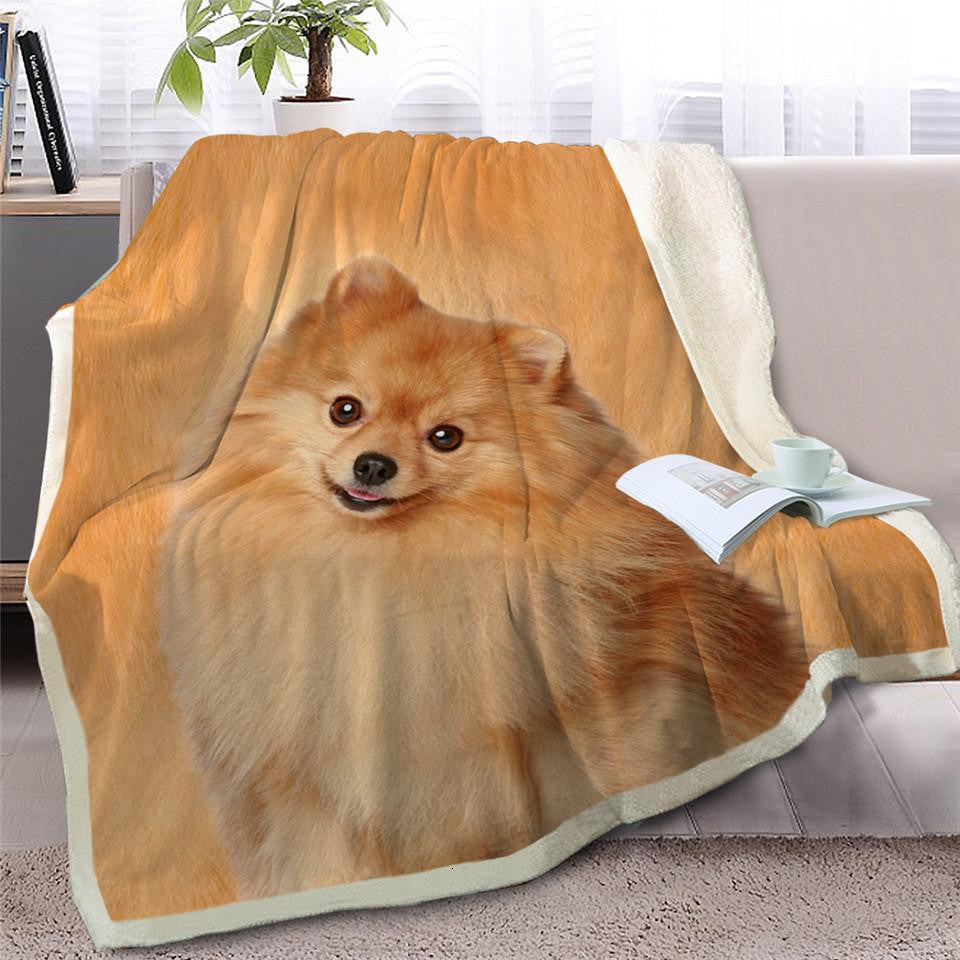 Pomeranian Face Blanket