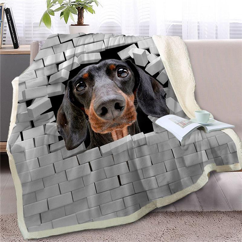 Dachshund Break the Wall Face Blanket