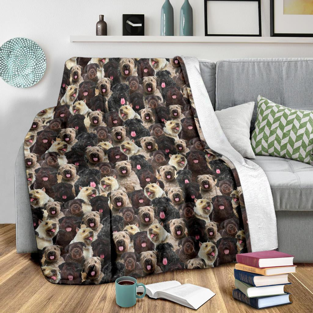 Bouvier Des Flandres Full Face Blanket