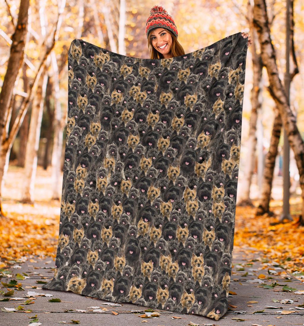 Cairn Terrier Full Face Blanket