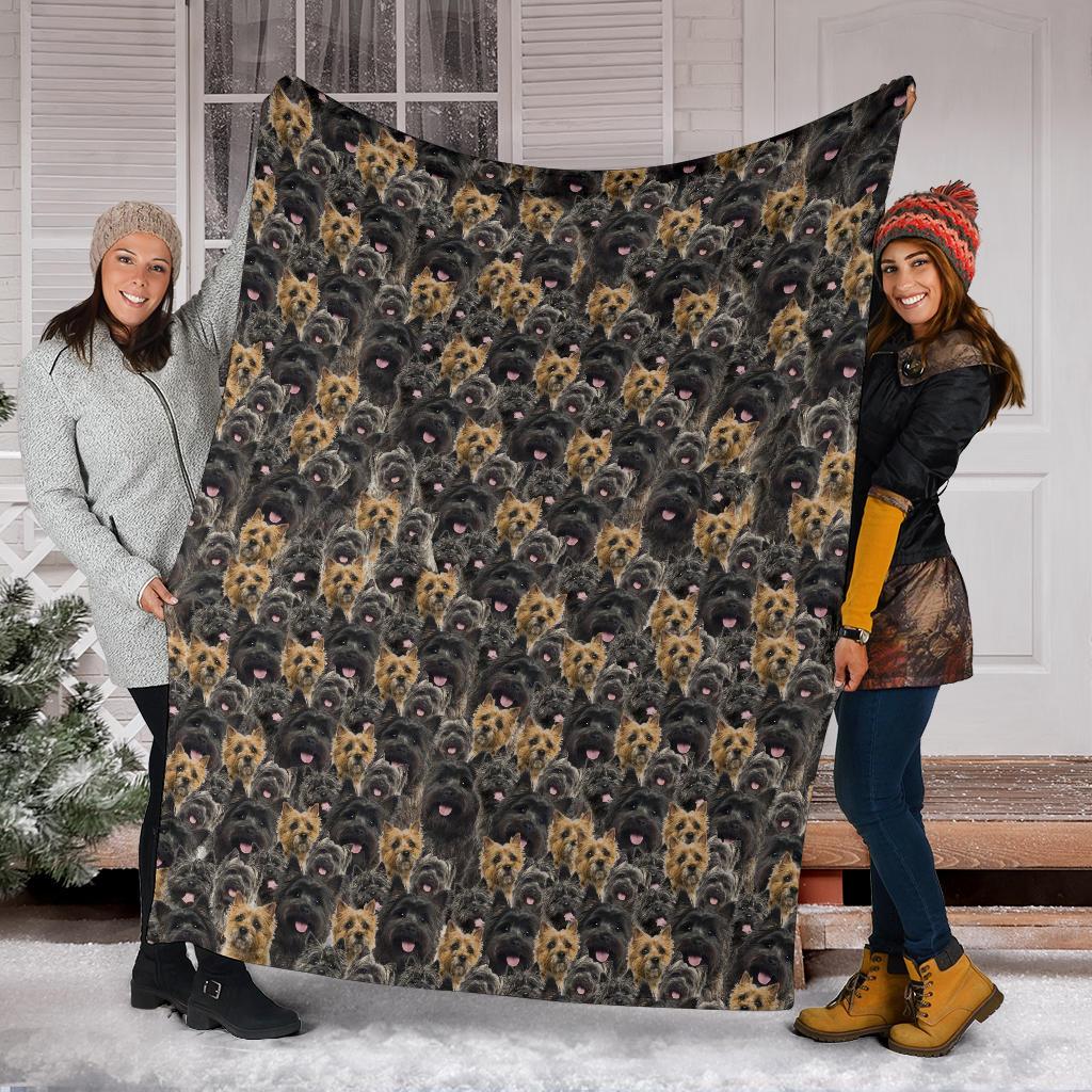 Cairn Terrier Full Face Blanket