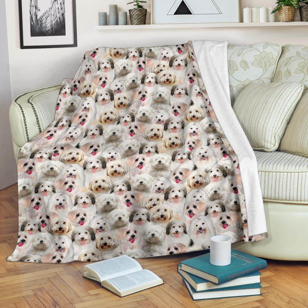 Coton De Tulear Full Face Blanket