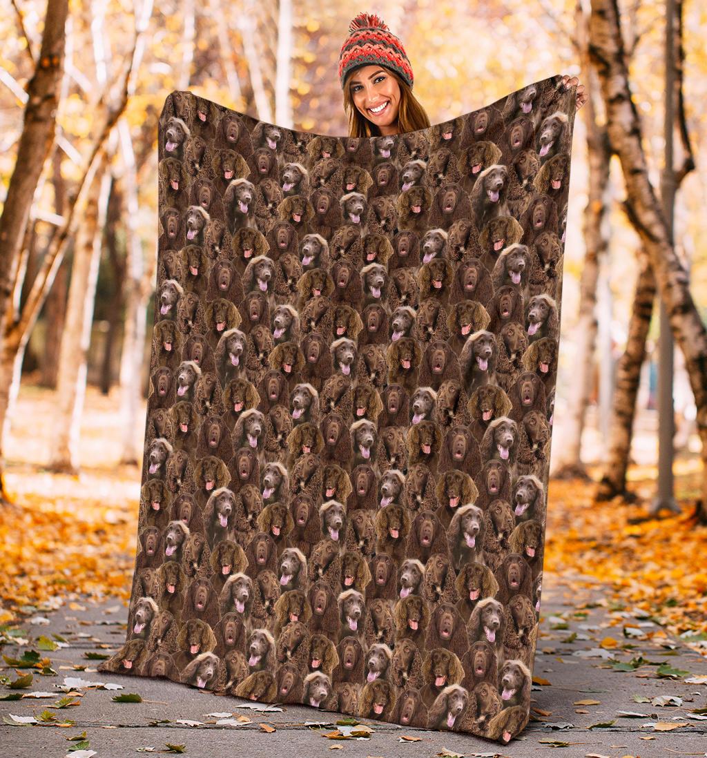 Field Spaniel Full Face Blanket