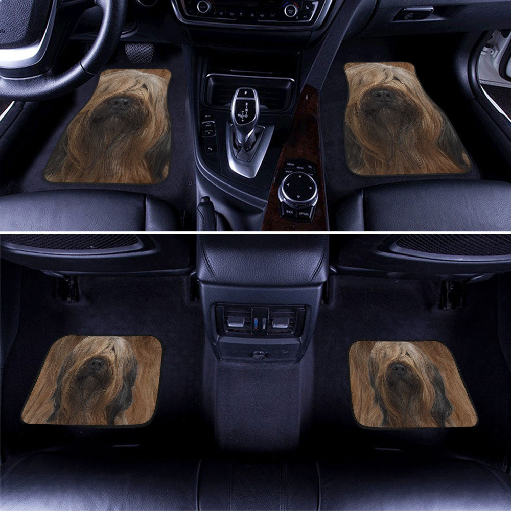 Briard Dog Funny Face Car Floor Mats 119