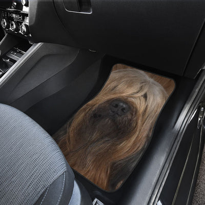 Briard Dog Funny Face Car Floor Mats 119