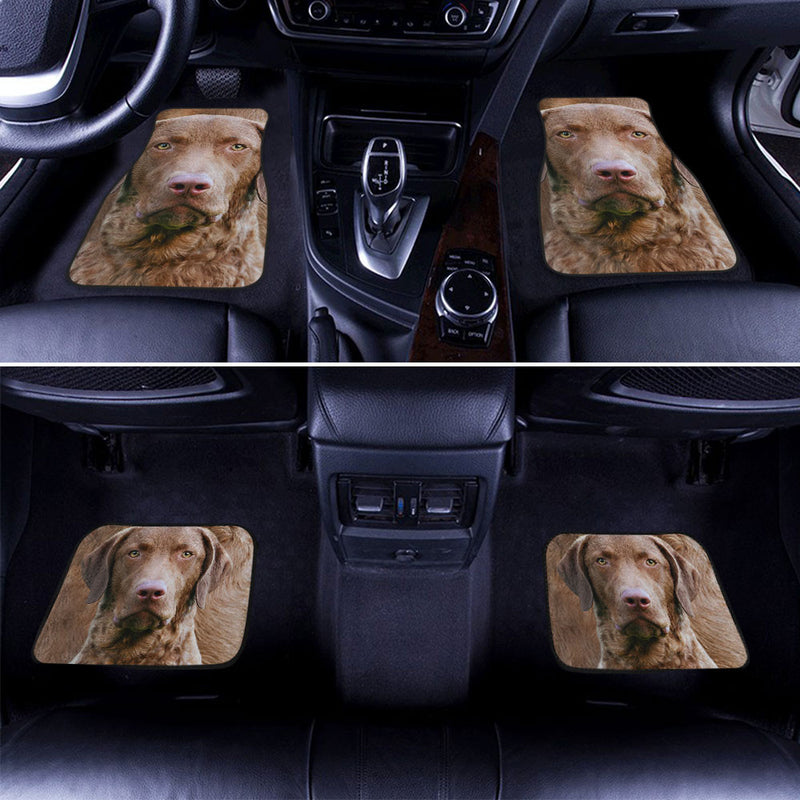 Chesapeake Bay Funny Face Car Floor Mats 119