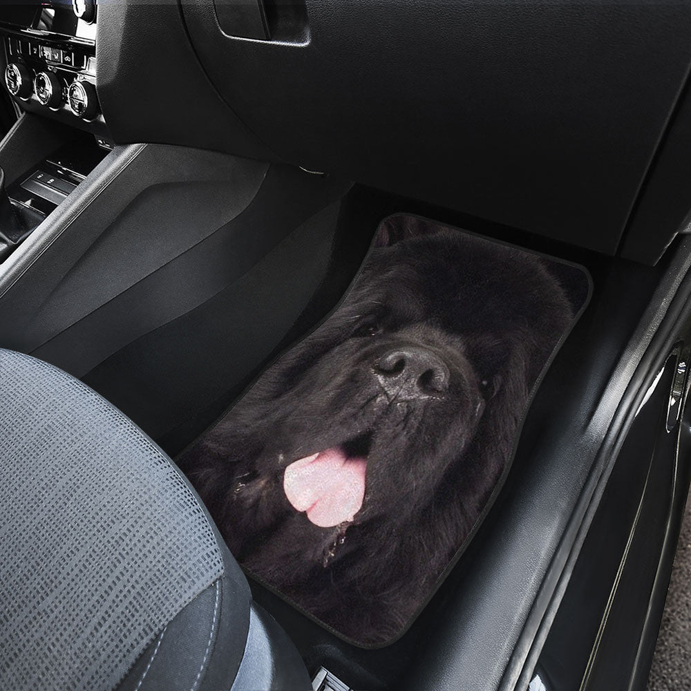 Newfoundland Funny Face Car Floor Mats 119