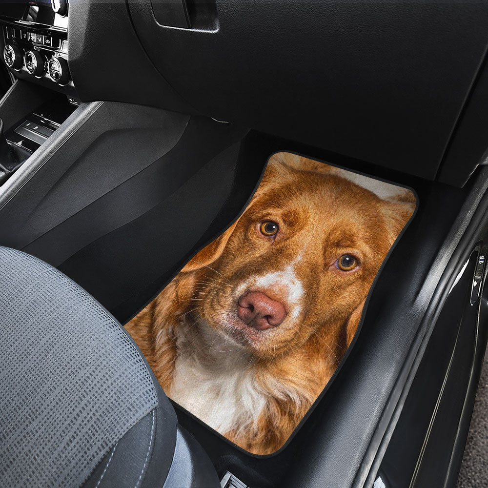 Nova Scotia Duck Tolling Retriever Funny Face Car Floor Mats 119