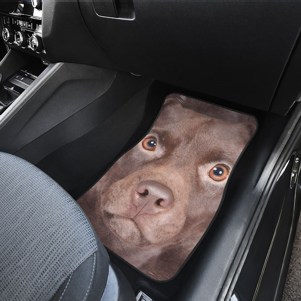 Patterdale Terrier Dog Funny Face Car Floor Mats 119