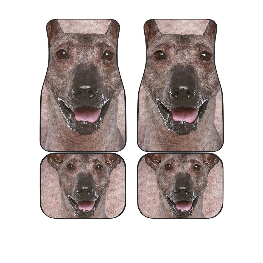 Peruvian Inca Orchid Dog Funny Face Car Floor Mats 119