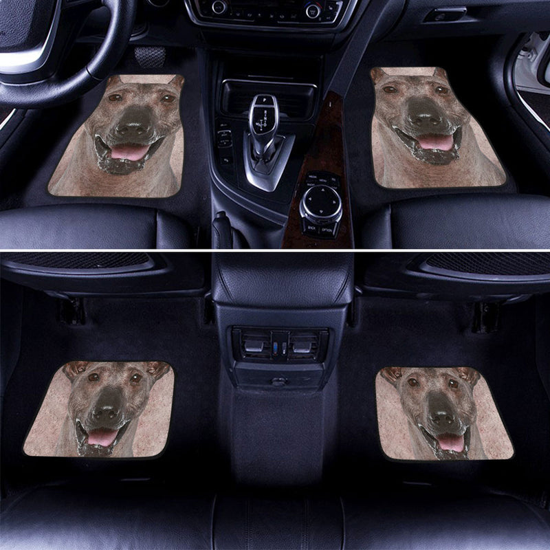 Peruvian Inca Orchid Dog Funny Face Car Floor Mats 119