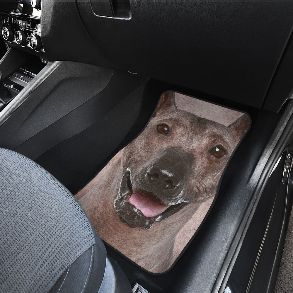 Peruvian Inca Orchid Dog Funny Face Car Floor Mats 119