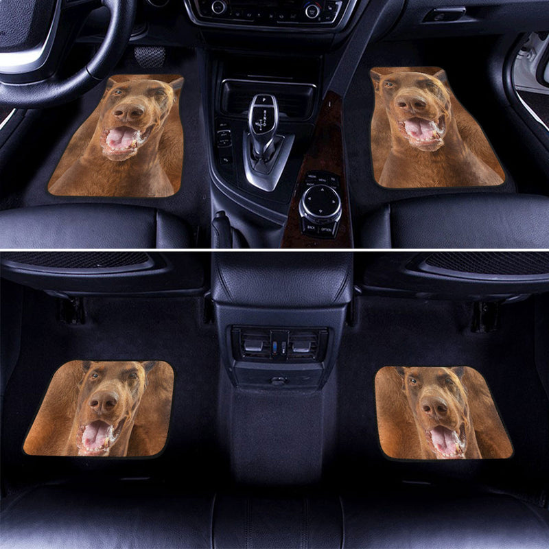 Pinscher Dog Funny Face Car Floor Mats 119