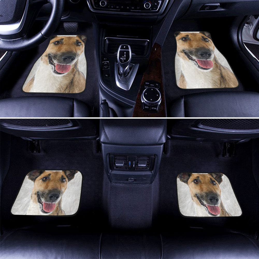 Dog car floor clearance mats