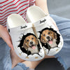 Beagle - 3D Graphic Custom Name Crocs Shoes