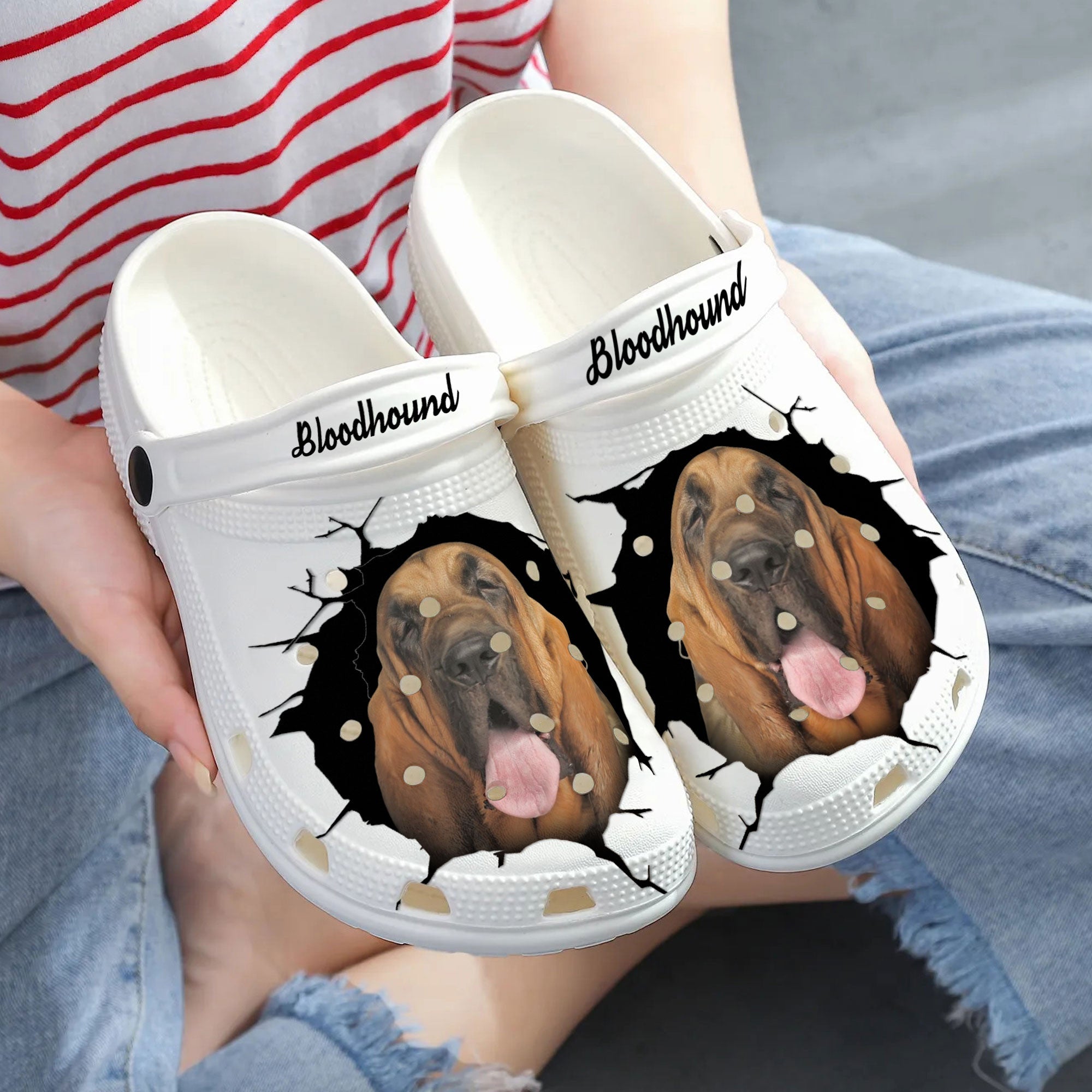 Bloodhound - 3D Graphic Custom Name Crocs Shoes