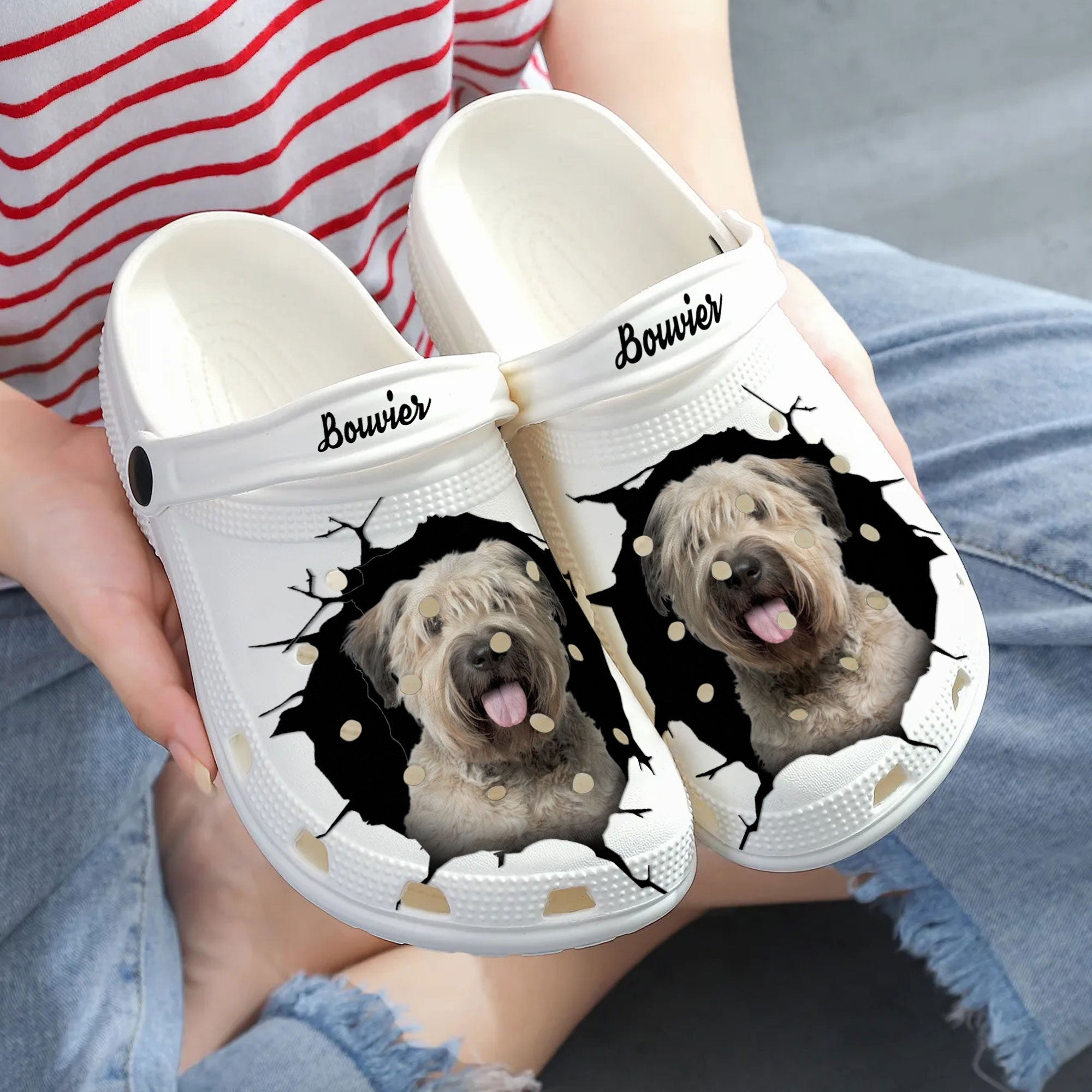 Bouvier - 3D Graphic Custom Name Crocs Shoes