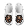 Boykin Spaniel - 3D Graphic Custom Name Crocs Shoes