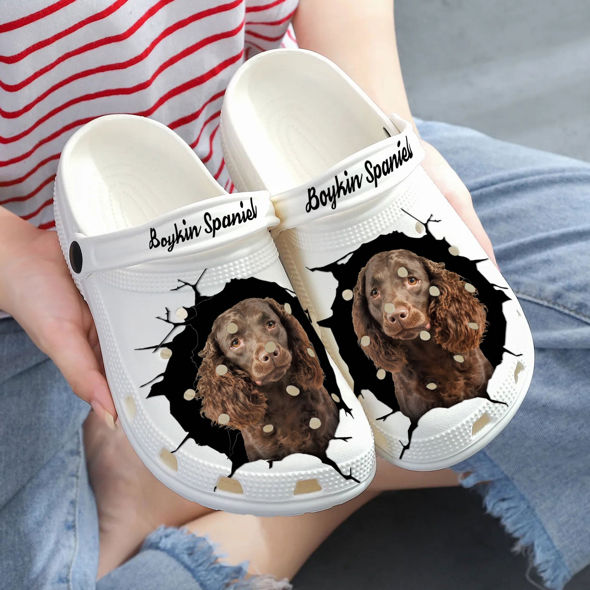 Boykin Spaniel - 3D Graphic Custom Name Crocs Shoes