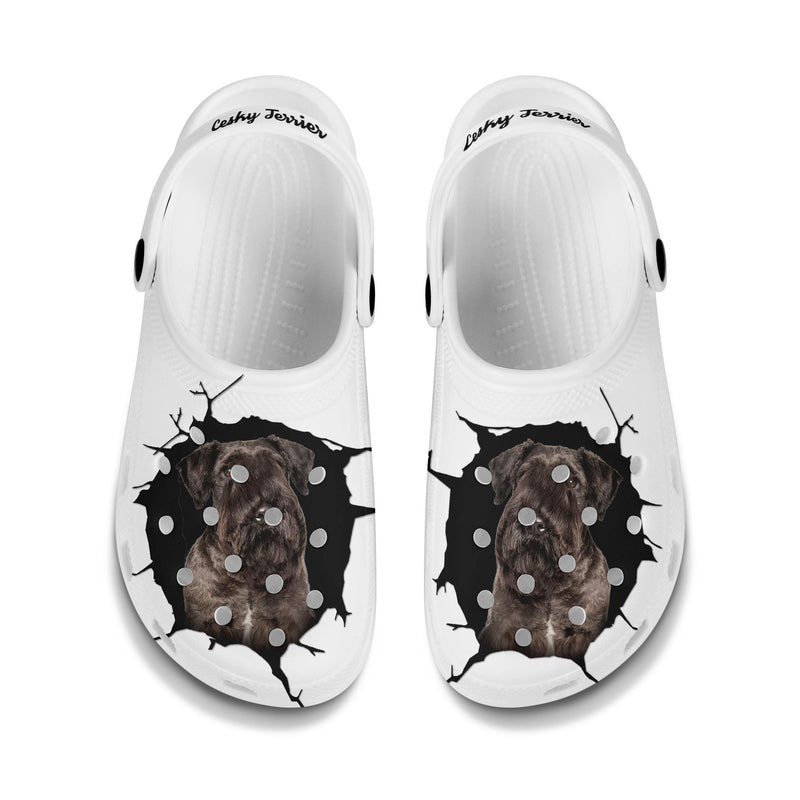 Cesky Terrier - 3D Graphic Custom Name Crocs Shoes