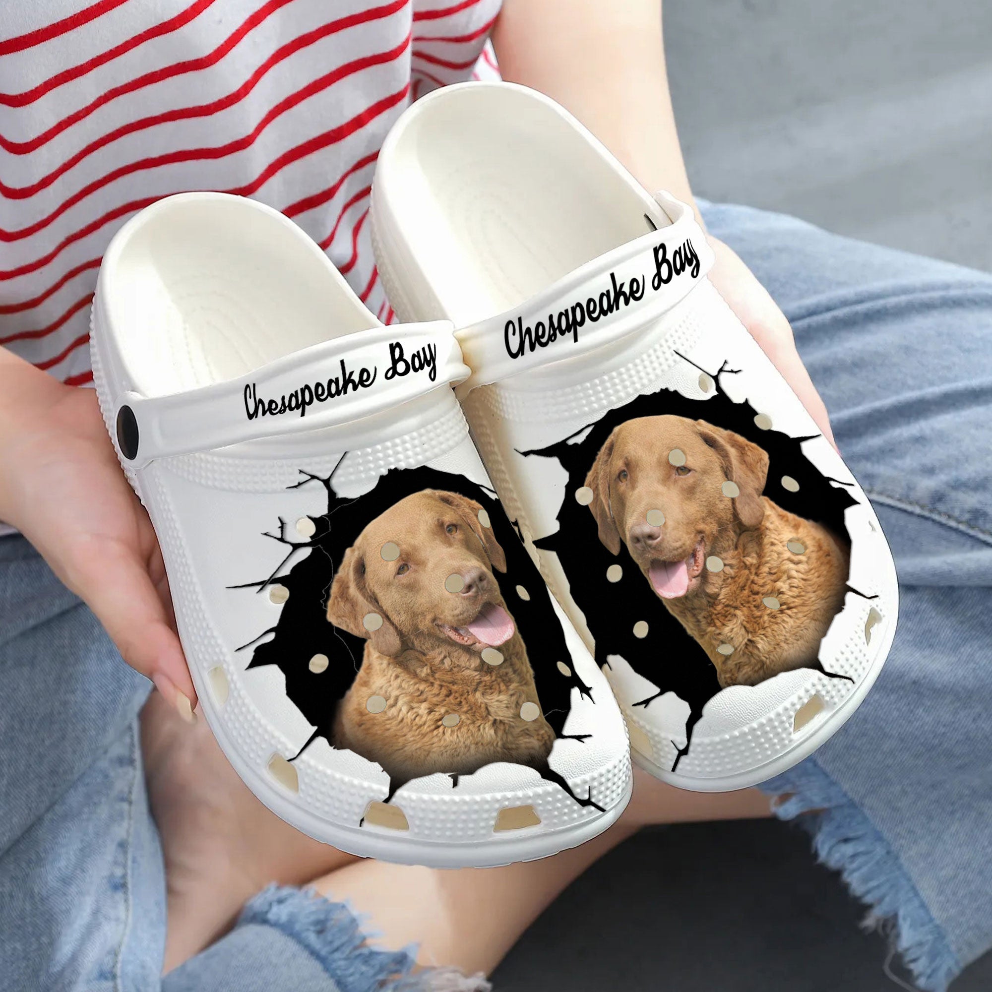 Chesapeake Bay - 3D Graphic Custom Name Crocs Shoes