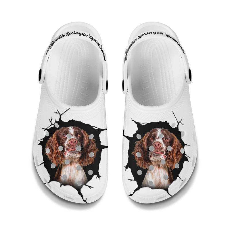 English Springer Spaniel - 3D Graphic Custom Name Crocs Shoes