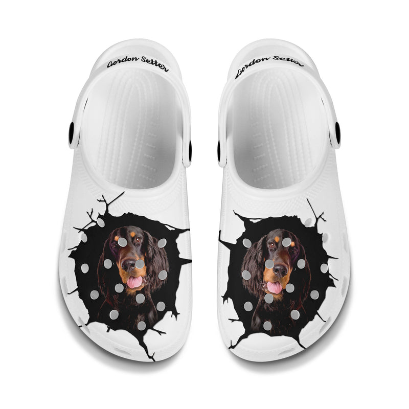 Gordon Setter - 3D Graphic Custom Name Crocs Shoes