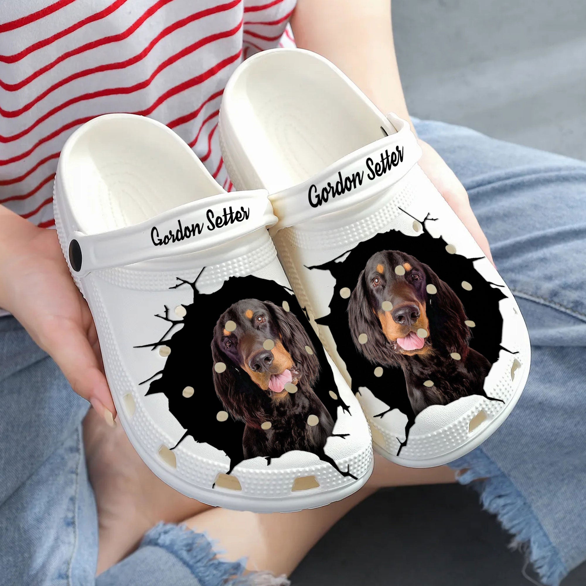 Gordon Setter - 3D Graphic Custom Name Crocs Shoes