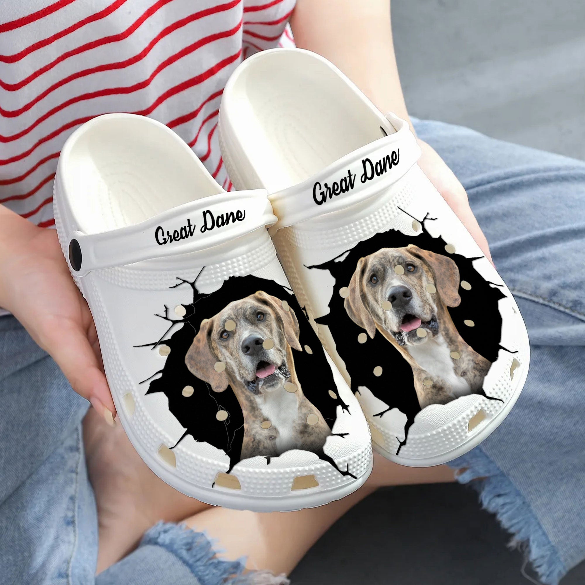 Great Dane - 3D Graphic Custom Name Crocs Shoes