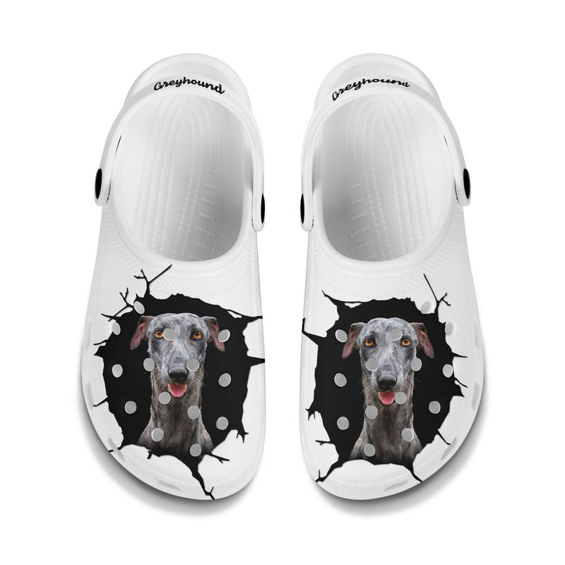 Greyhound - 3D Graphic Custom Name Crocs Shoes