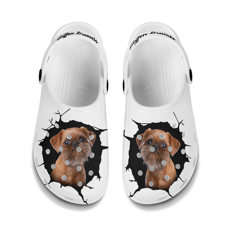 Griffon Brussels - 3D Graphic Custom Name Crocs Shoes