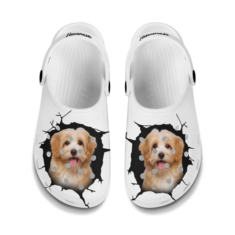 Havanese - 3D Graphic Custom Name Crocs Shoes