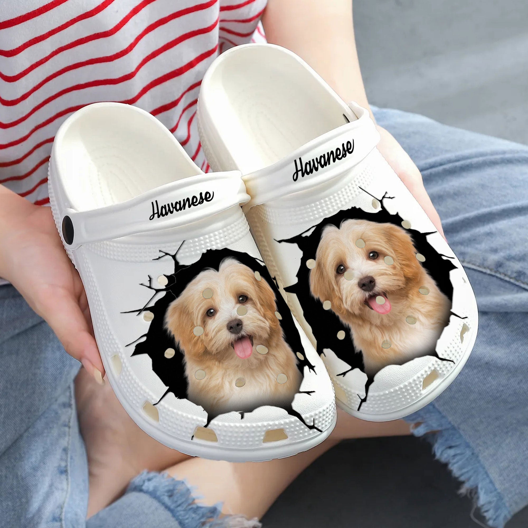 Havanese - 3D Graphic Custom Name Crocs Shoes