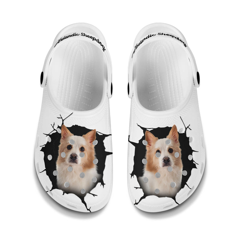 Icelandic Sheepdog - 3D Graphic Custom Name Crocs Shoes