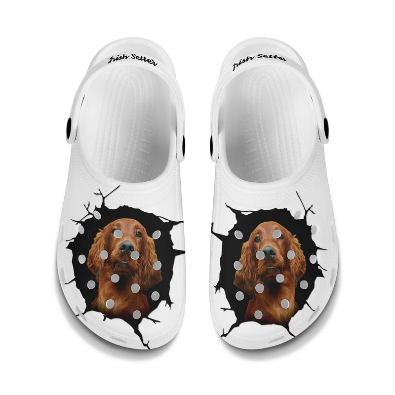 Irish Setter - 3D Graphic Custom Name Crocs Shoes