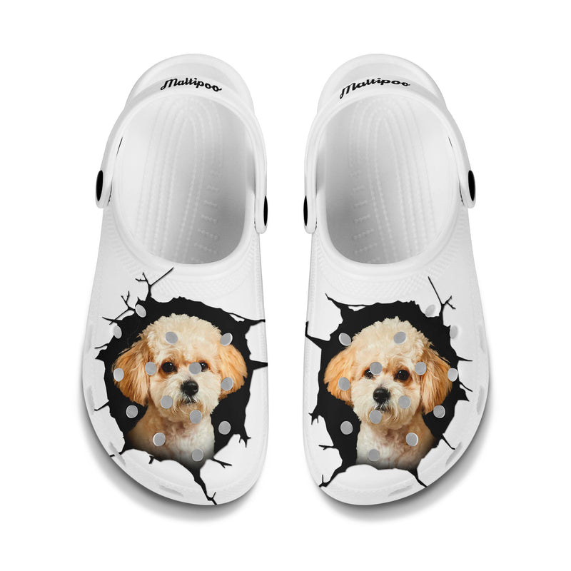 Maltipoo - 3D Graphic Custom Name Crocs Shoes