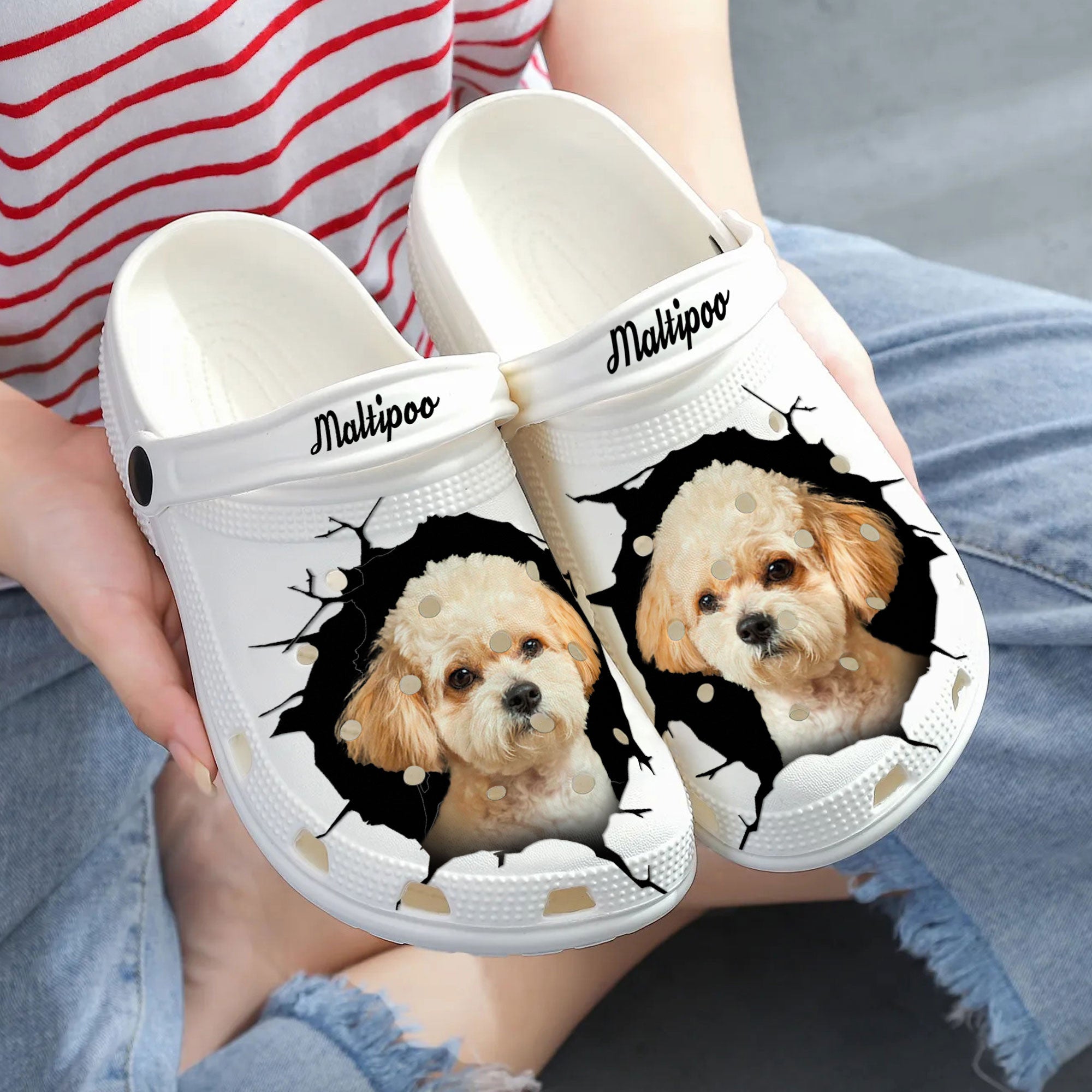 Maltipoo - 3D Graphic Custom Name Crocs Shoes