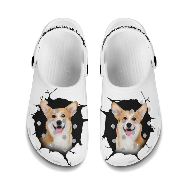 Pembroke Welsh Corgi - 3D Graphic Custom Name Crocs Shoes