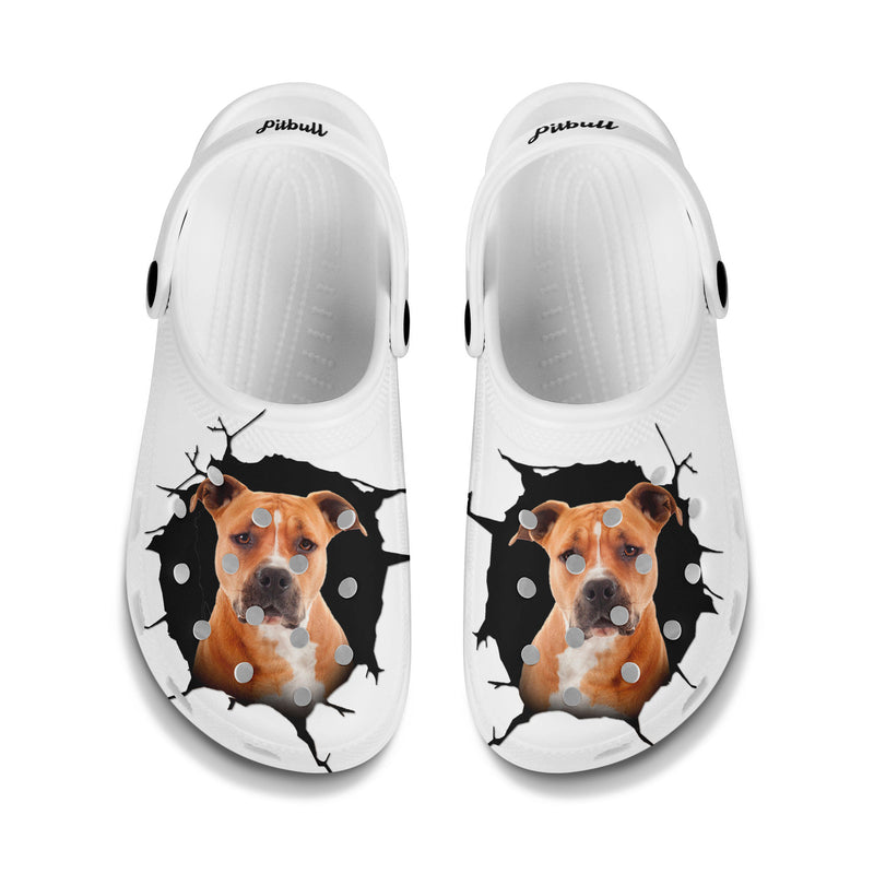 Pitbull - 3D Graphic Custom Name Crocs Shoes