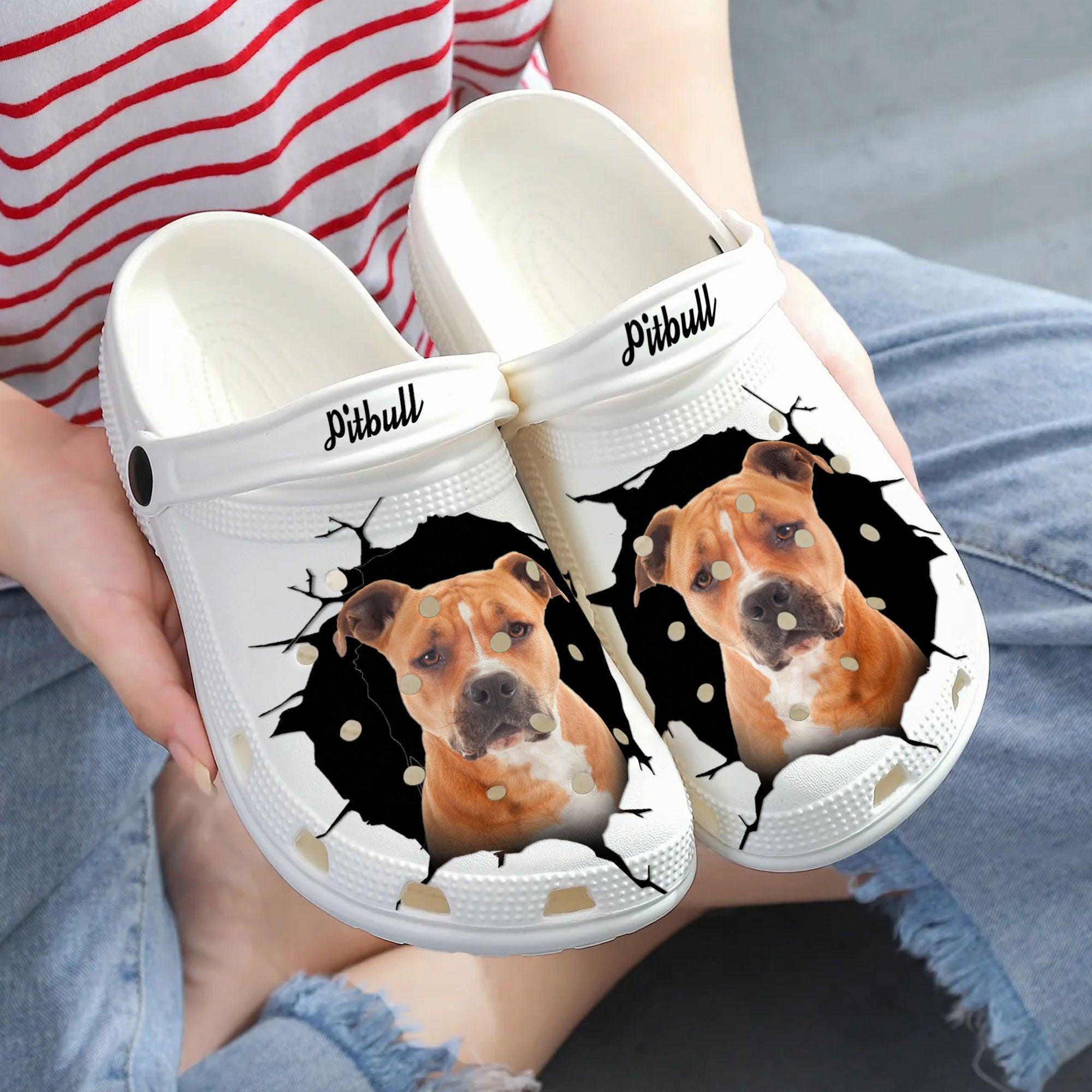 Pitbull - 3D Graphic Custom Name Crocs Shoes