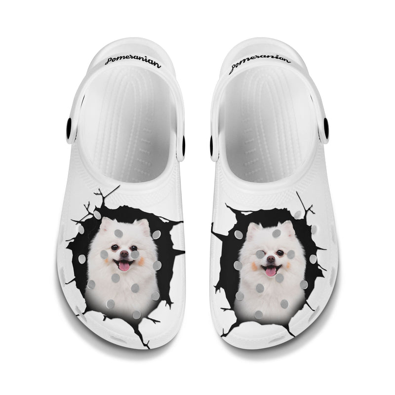 Pomeranian - 3D Graphic Custom Name Crocs Shoes